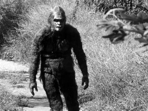 Bigfoot Evidence Revealed As Hoax