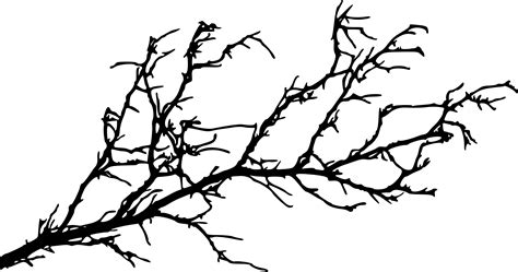 Branch Tree Silhouette Twig Branches Png Download 20001053 Free
