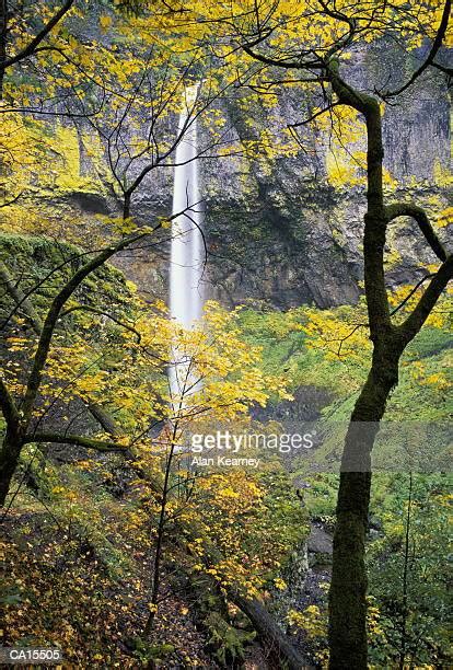 Elowah Falls Photos And Premium High Res Pictures Getty Images