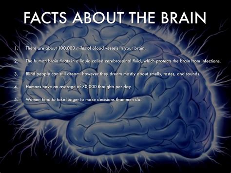 5 Facts About The Brain