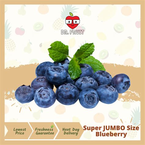 Promotionroyal Jumbo Size Blueberry 125g 特大蓝莓 Drfruit