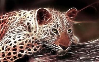 Animals Fractal Leopard Predator Wallpapers Wallpaperup