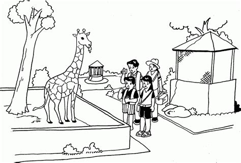Sketsa Gambar Mewarnai Kebun Binatang Kartun Imagesee