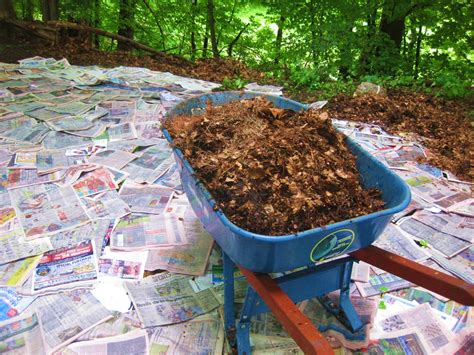 Can you smother the weeds and build above? Newspaper Mulching