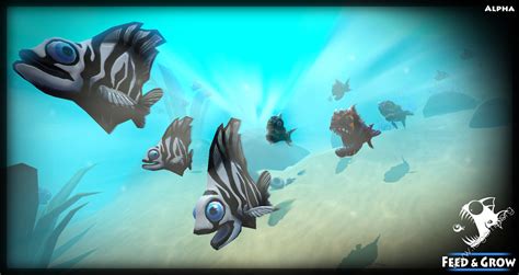 Fish Feed And Grow No Download Game Renewdirty