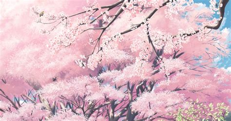 Sakura Trees Anime Aesthetic Anime Scenery Cherry Blossoms Background