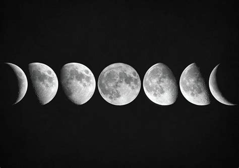 Moon Phases Digital Art Moon Phases By Zapista Ou Moon Phases Drawing