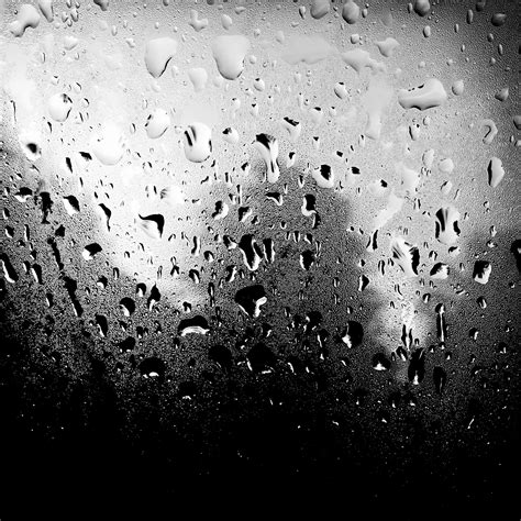 Free Images Drop Black And White Texture Rain Weather Darkness