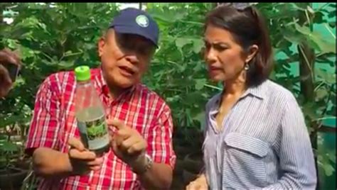 Gina Lopez Reveals Figs Being Grown In The Philippines Nolisoli