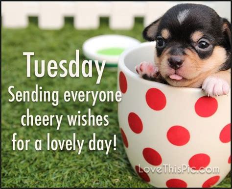 It's tuesday and its a long week to go! Sending Tuesday Cheer good morning tuesday tuesday quotes ...