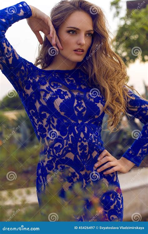 Милая девушка с темными волосами в роскошном платье шнурка Стоковое Изображение изображение