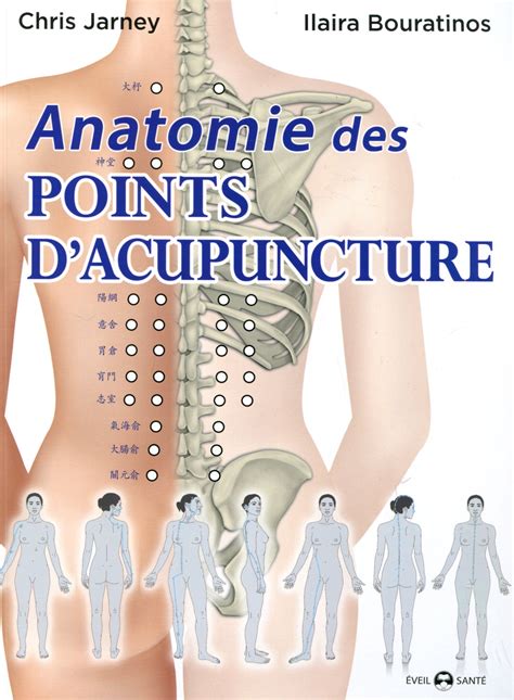 Anatomie Des Points Dacupuncture