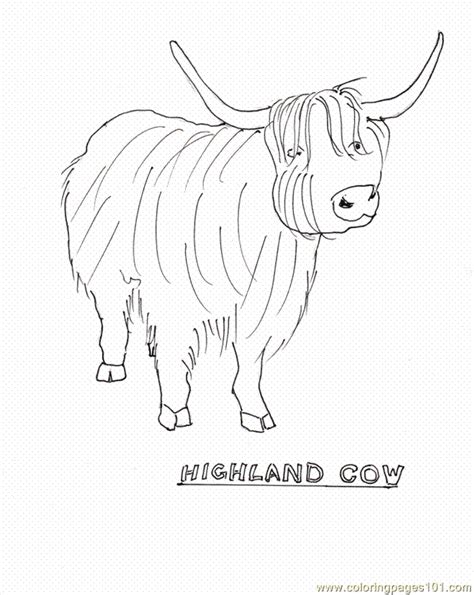 28 Highland Cow Coloring Pages Gurdeepmusab