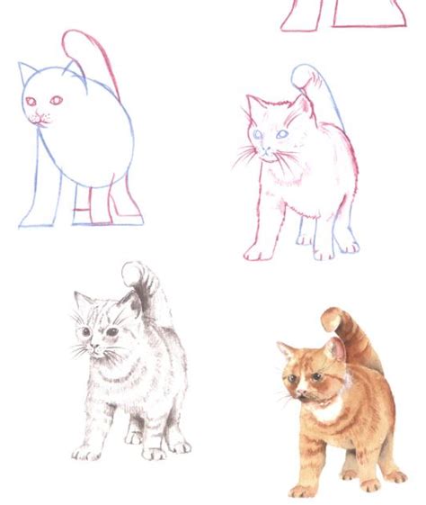 10 Tutorials On How To Draw A Cat Drawn In Black