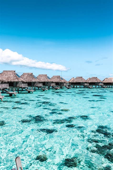 French Polynesia Holidays The Ultimate Guide To Planning