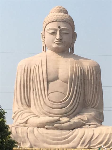 A Large Buddha Statue Sitting On Top Of A Lush Green Field
