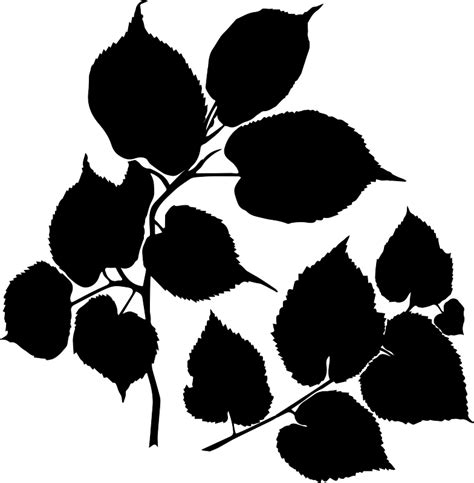 Branches Of Linden Tree Plant Wall Decal Tenstickers