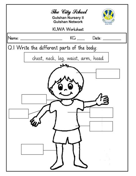 This page has a lot of free printable 5 senses worksheet for kids,parents and preshool teachers.eaching kids about the five senses with our five senses … worksheet for kindergarten urdu sr gulshan the city ...