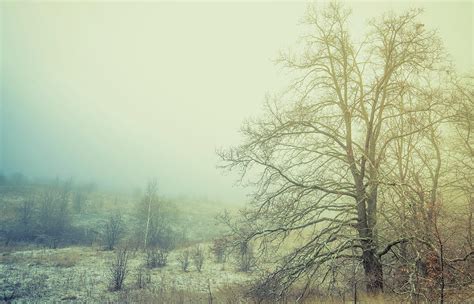 The Mystical Fog Photograph By Igor Klyakhin Fine Art America