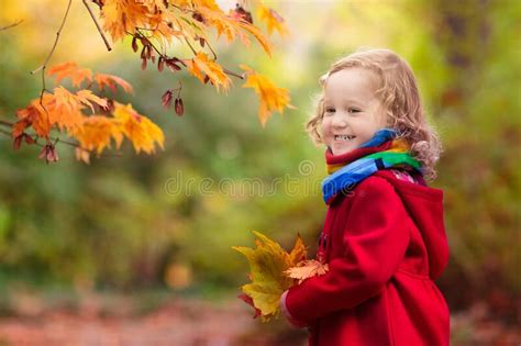 Child In Fall Park Kid With Autumn Leaves Stock Photo Image Of