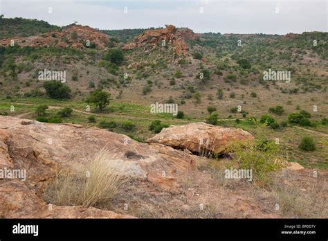 View From Mapungubwe Hill Mapungubwe National Park South Africa Stock