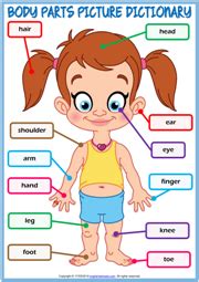 We will take some more photos of these when we find some more volunteers. Body Parts ESL Vocabulary Worksheets