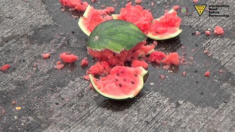 Smashed Watermelon Free Range Kids