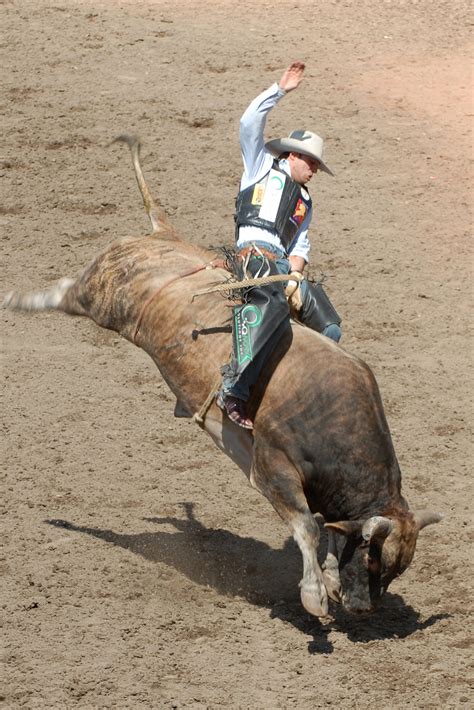 Bull Riding The Ride Of Your Life Writework