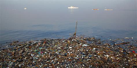 In this article, the causes, effects and solutions to the problem are presented. mother nature: Great Pacific garbage patch