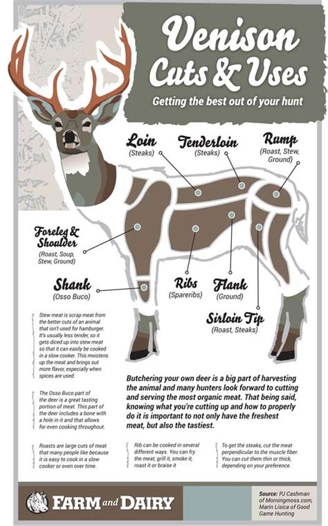 Venison Cuts And Uses Infographic Farm And Dairy