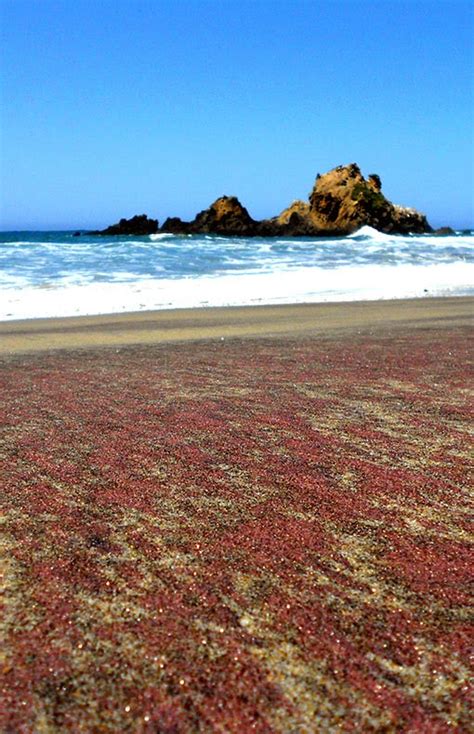 Pfeiffer Purple Sand Beach California Holidayspots4u
