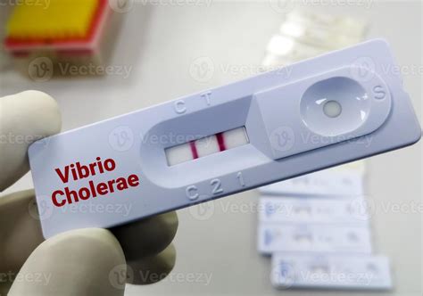 Rapid test device or cassette for Vibrio cholerae test, show positive