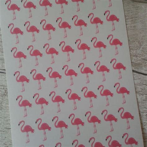 Cute Flamingo Etsy