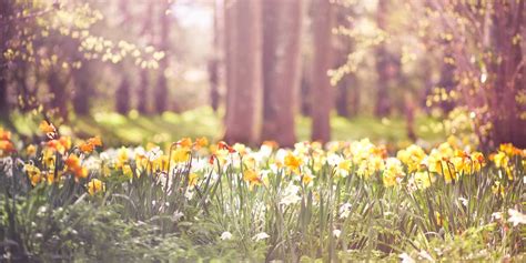 Uk Weather Spring Is Off To A Good Start As The Met Office Says Its