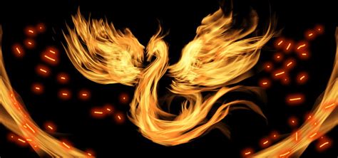 Fire Burning Phoenix With Black Background Flame Fire Heat
