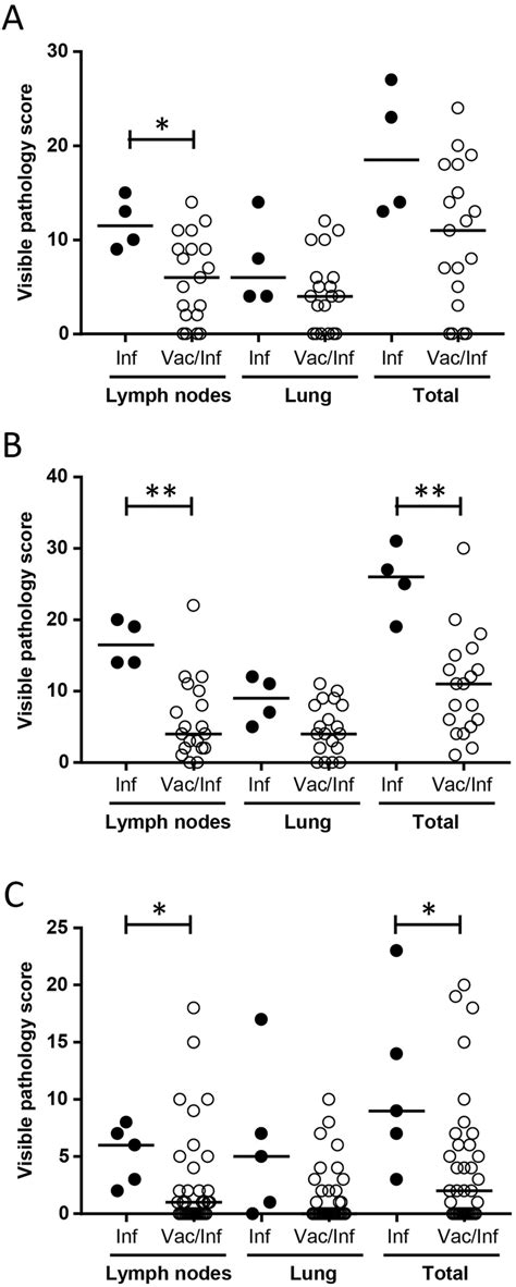 Reduction Of Bovine Tb Visible Pathology In Bcg Vaccinates Lymph Node