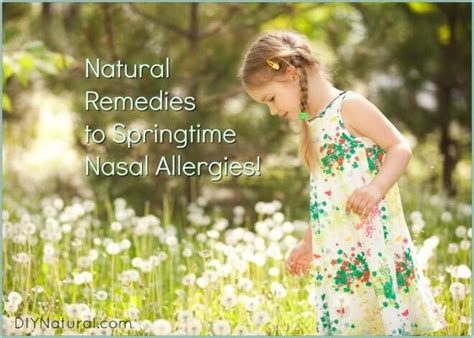 Spring Allergies Learn How To Treat Springtime Allergies Naturally