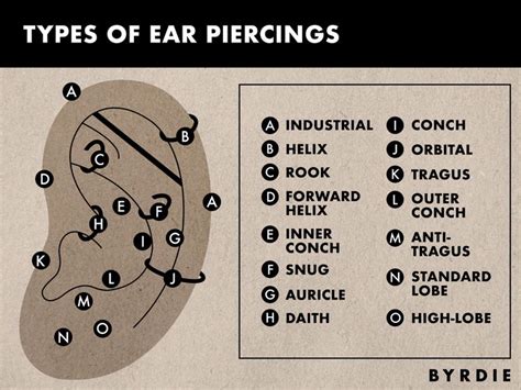 The 16 Types Of Ear Piercings How To Choose Based On Pain And Placement