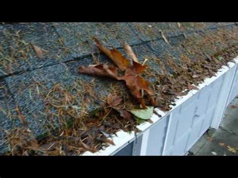 Check spelling or type a new query. Leafless in Seattle - Gutter Guards - LeafFilter Fails within a Year with needles