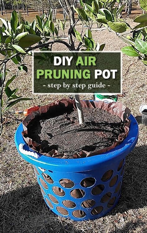 Diy Air Pruning Pot