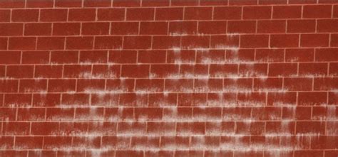 We've been asked many times how to remove efflorescence from brick surface. Brick efflorescence: Effective removal and prevention tips ...