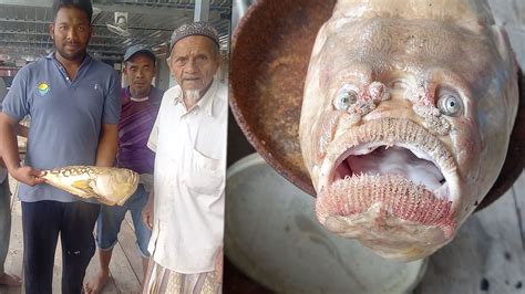A Fish With A Strange Human Like Face Was Caught In Thailand Causing
