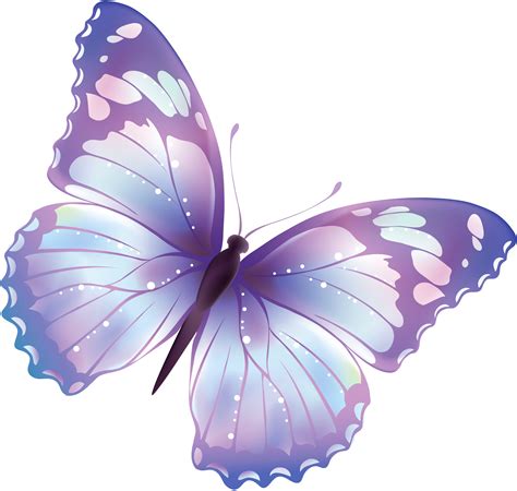 Butterfly Png 3 Png All
