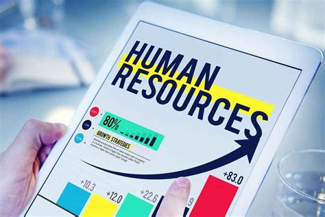 Best Hr Software For Small Business In 2023