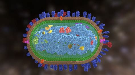 Influenza Virus Download Free 3d Model By Xr Life Science Gls