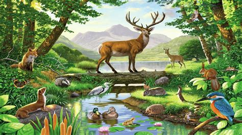 Forest Animals Wallpapers Wallpaper Cave