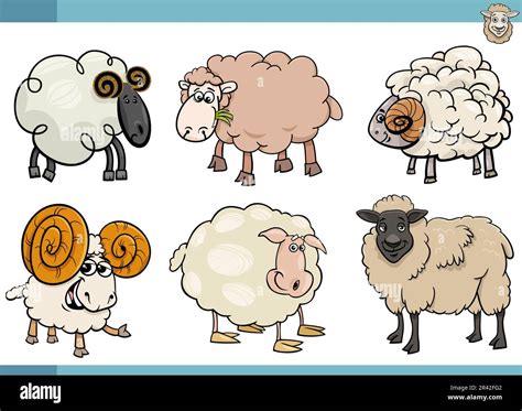 Cartoon Illustration Of Sheep Farm Animals Comic Characters Set Stock