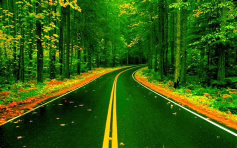Nature Road Wallpaper Hd For Mobile Checkout High Quality Landscape