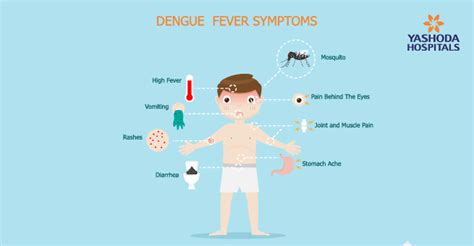 Dengue Fever Causes Symptoms Diagnosis Treatment And Prevention