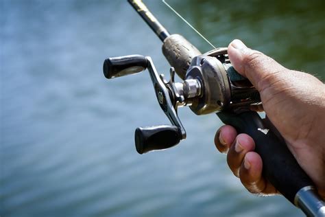 Types Of Fishing Reels The Complete Guide